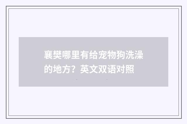 襄樊哪里有给宠物狗洗澡的地方？英文双语对照