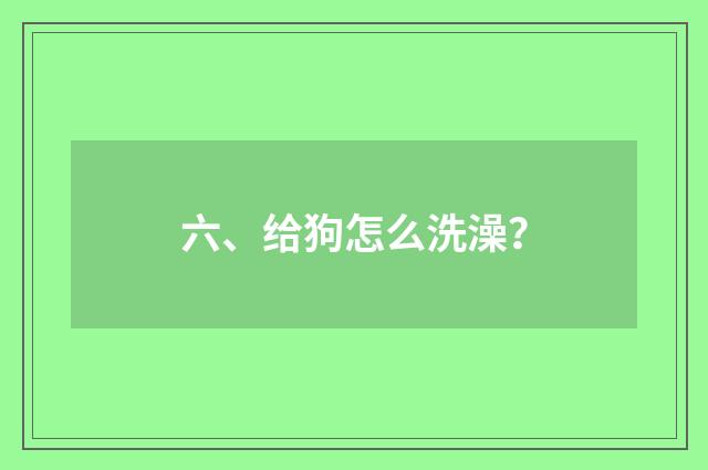 六、给狗怎么洗澡?