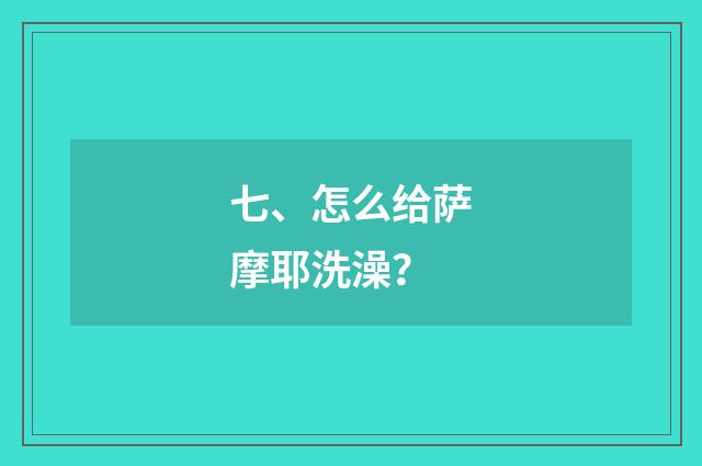 七、怎么给萨摩耶洗澡?