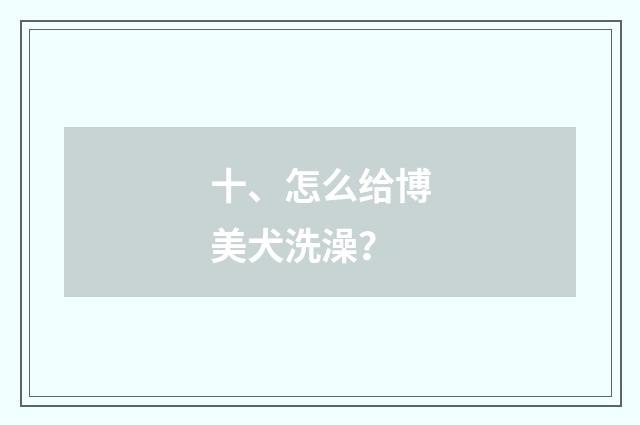 十、怎么给博美犬洗澡？