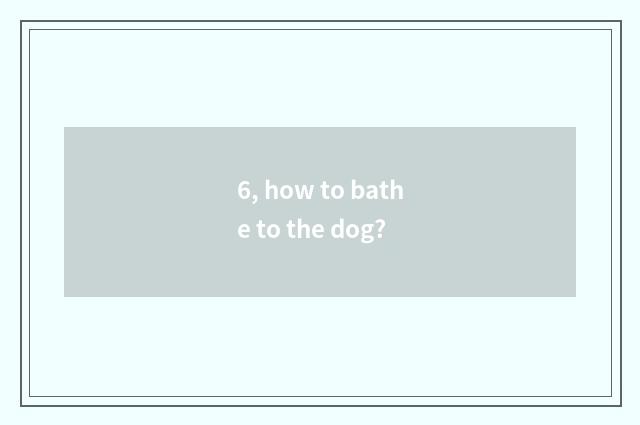 6, how to bathe to the dog?