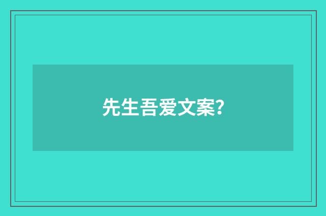 先生吾爱文案？