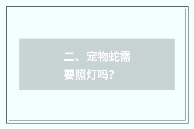 二、宠物蛇需要照灯吗？