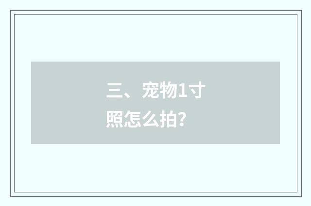 三、宠物1寸照怎么拍？