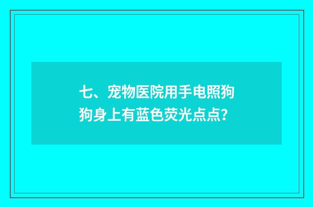 七、宠物医院用手电照狗狗身上有蓝色荧光点点？