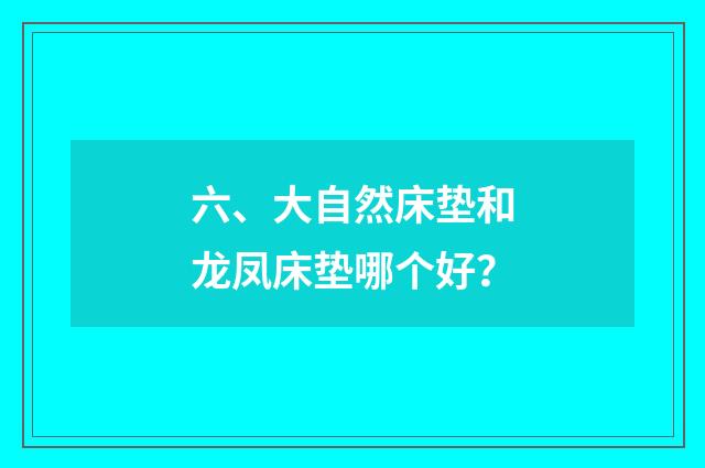 六、大自然床垫和龙凤床垫哪个好?