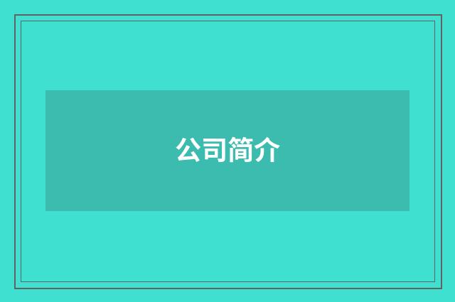 公司简介