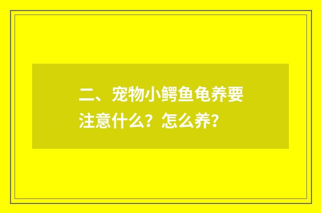 二、宠物小鳄鱼龟养要注意什么?怎么养?