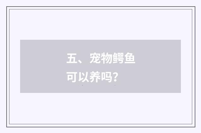 五、宠物鳄鱼可以养吗?