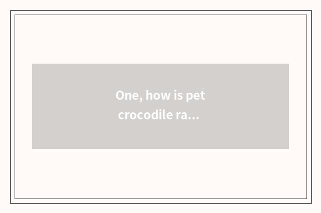 One, how is pet crocodile raised?