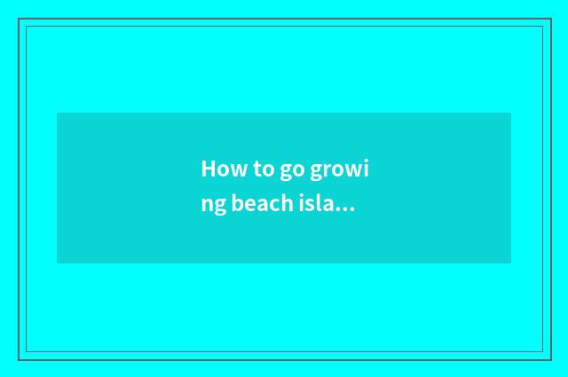 How to go growing beach island to travel to do visa?