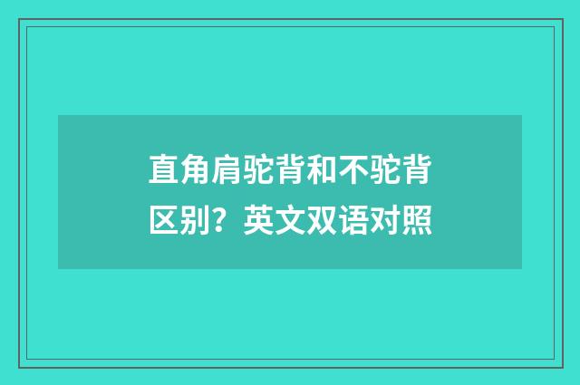 直角肩驼背和不驼背区别？英文双语对照