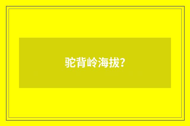 驼背岭海拔？