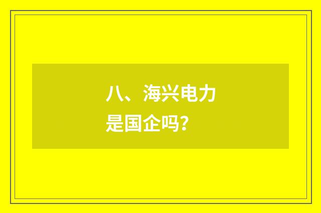 八、海兴电力是国企吗?