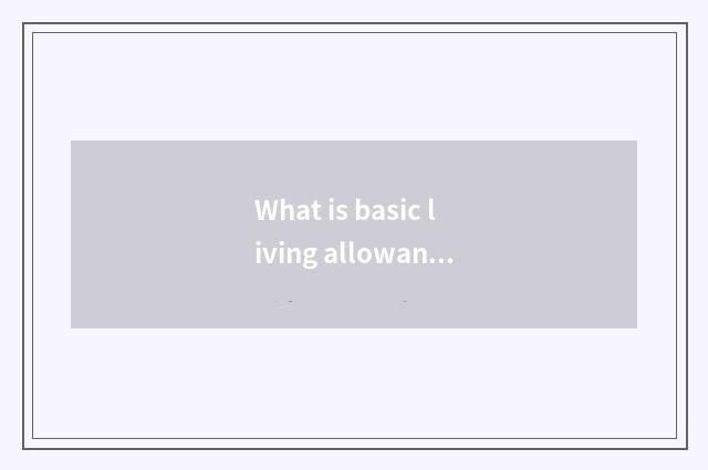 What is basic living allowance?