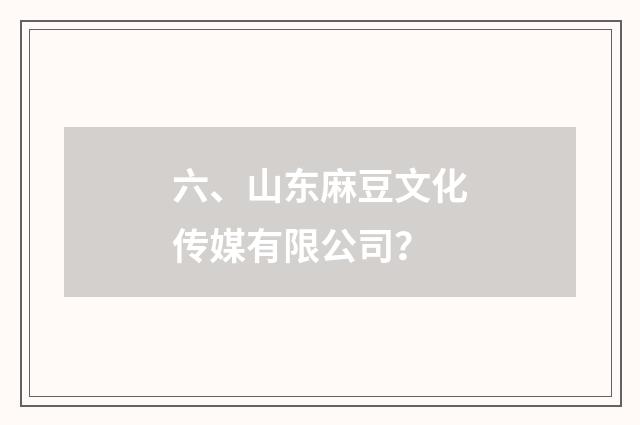六、山东麻豆文化传媒有限公司?