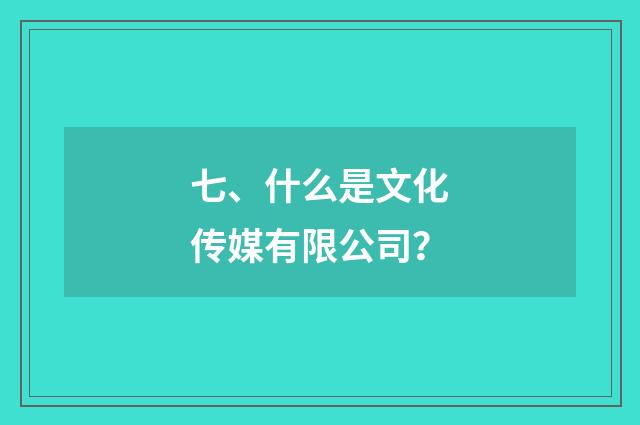 七、什么是文化传媒有限公司？