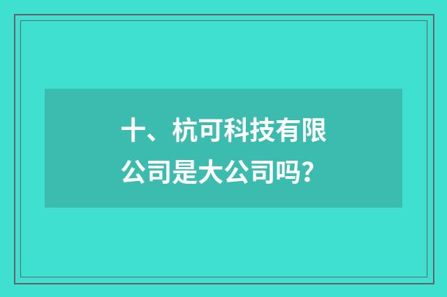 十、杭可科技有限公司是大公司吗？