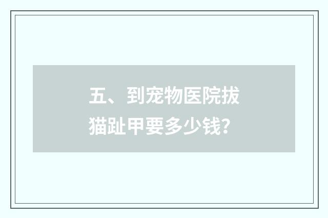 五、到宠物医院拔猫趾甲要多少钱?
