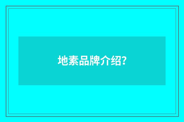 地素品牌介绍？