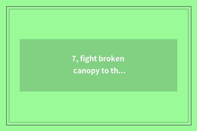 7, fight broken canopy to there is stand-alone game?
