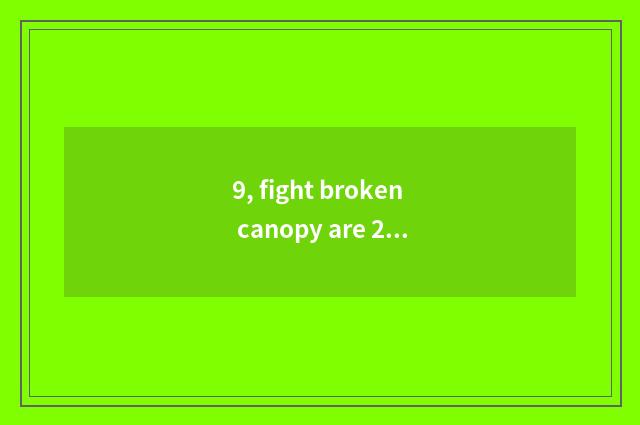 9, fight broken canopy are 2 game interesting?