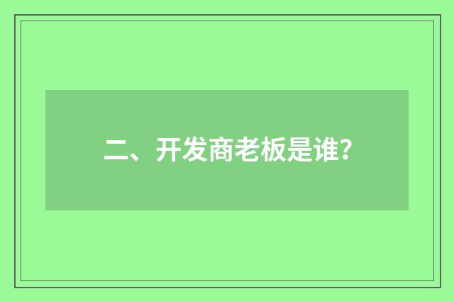 二、开发商老板是谁？