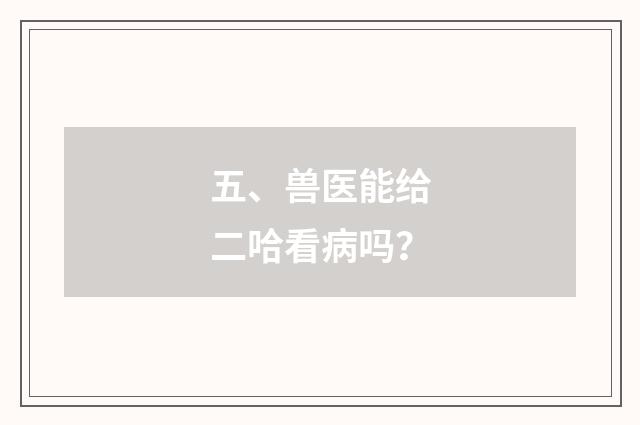 五、兽医能给二哈看病吗?