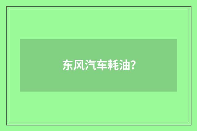 东风汽车耗油?
