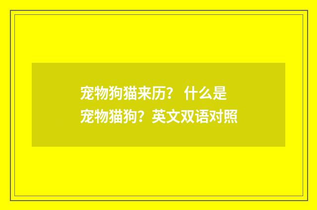 宠物狗猫来历? 什么是宠物猫狗?英文双语对照