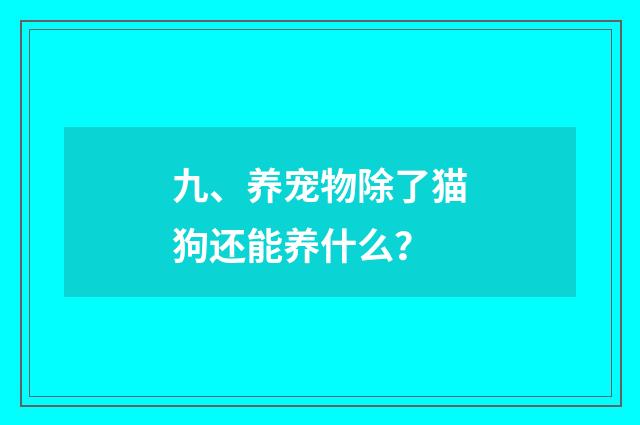 九、养宠物除了猫狗还能养什么?