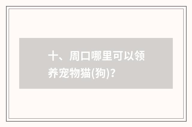 十、周口哪里可以领养宠物猫(狗)?