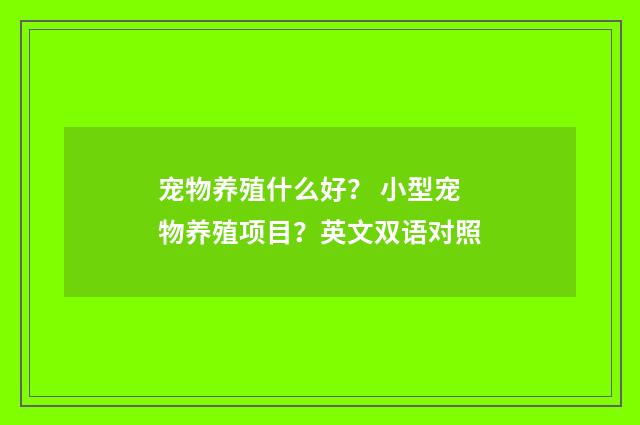 宠物养殖什么好? 小型宠物养殖项目?英文双语对照