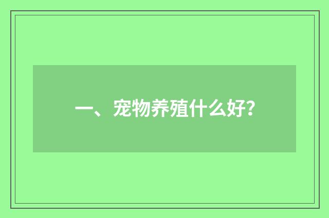 一、宠物养殖什么好?