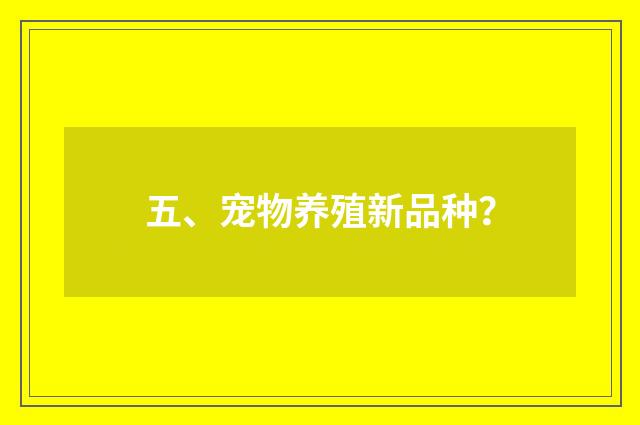 五、宠物养殖新品种？