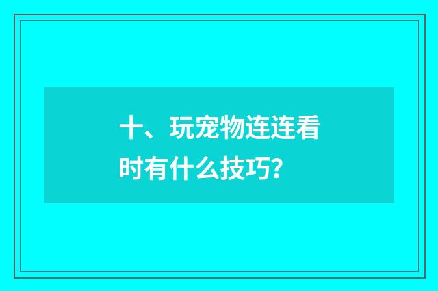 十、玩宠物连连看时有什么技巧？