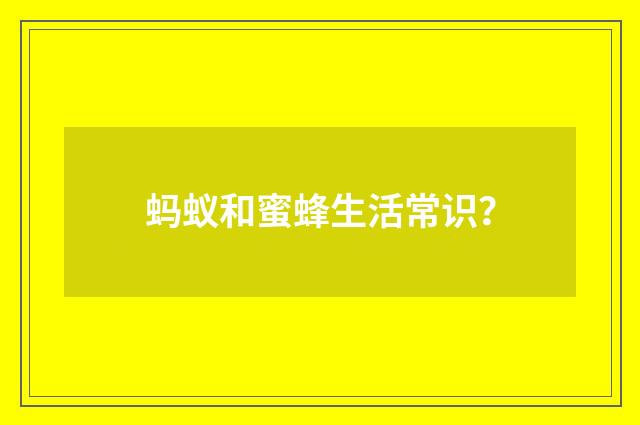 蚂蚁和蜜蜂生活常识?