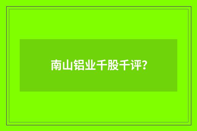 南山铝业千股千评?