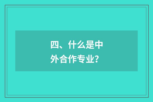 四、什么是中外合作专业？