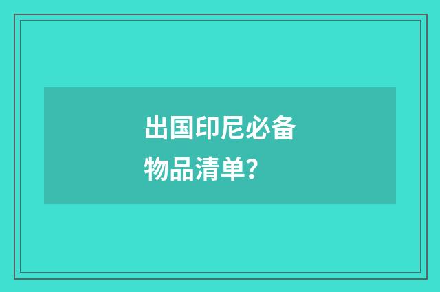 出国印尼必备物品清单？