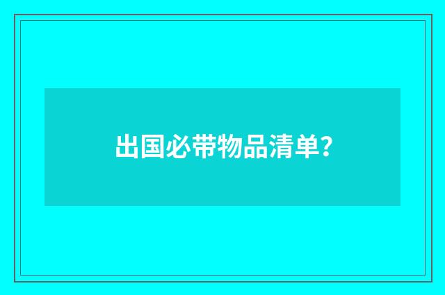 出国必带物品清单?