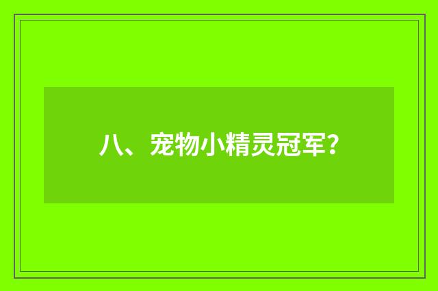 八、宠物小精灵冠军？