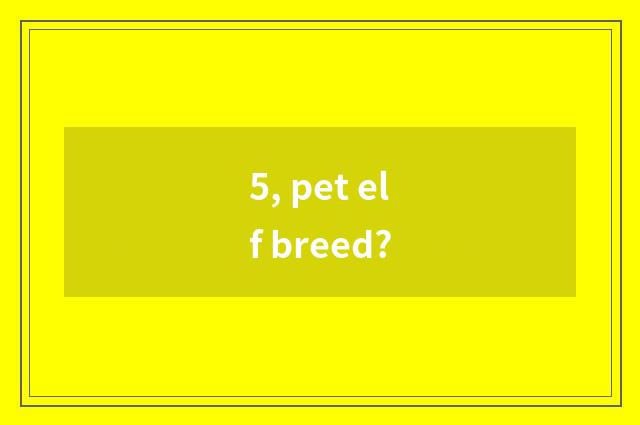 5, pet elf breed?