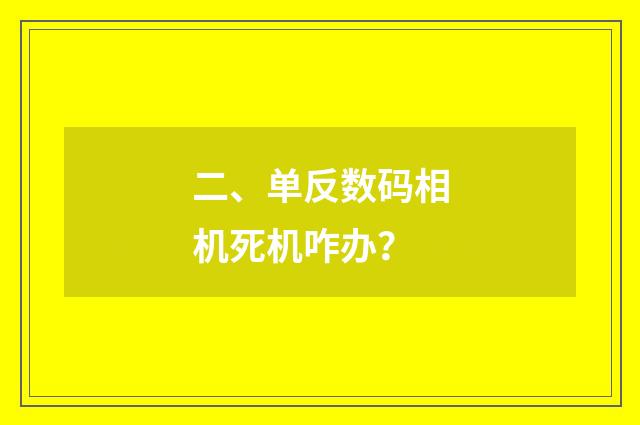 二、单反数码相机死机咋办？