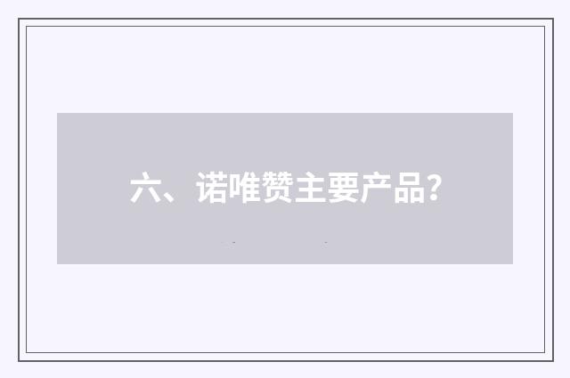 六、诺唯赞主要产品？