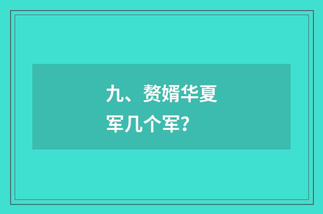 九、赘婿华夏军几个军？
