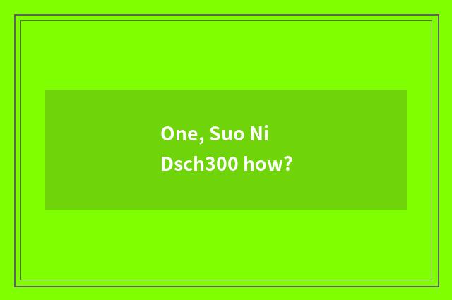 One, Suo Ni Dsch300 how?