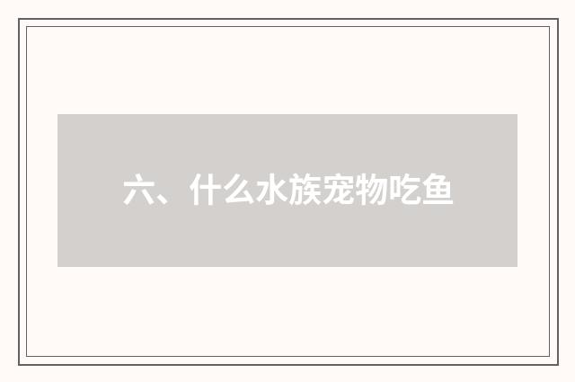 六、什么水族宠物吃鱼