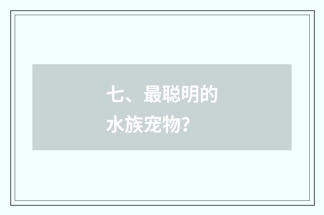 七、最聪明的水族宠物?