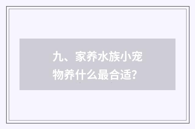九、家养水族小宠物养什么最合适？